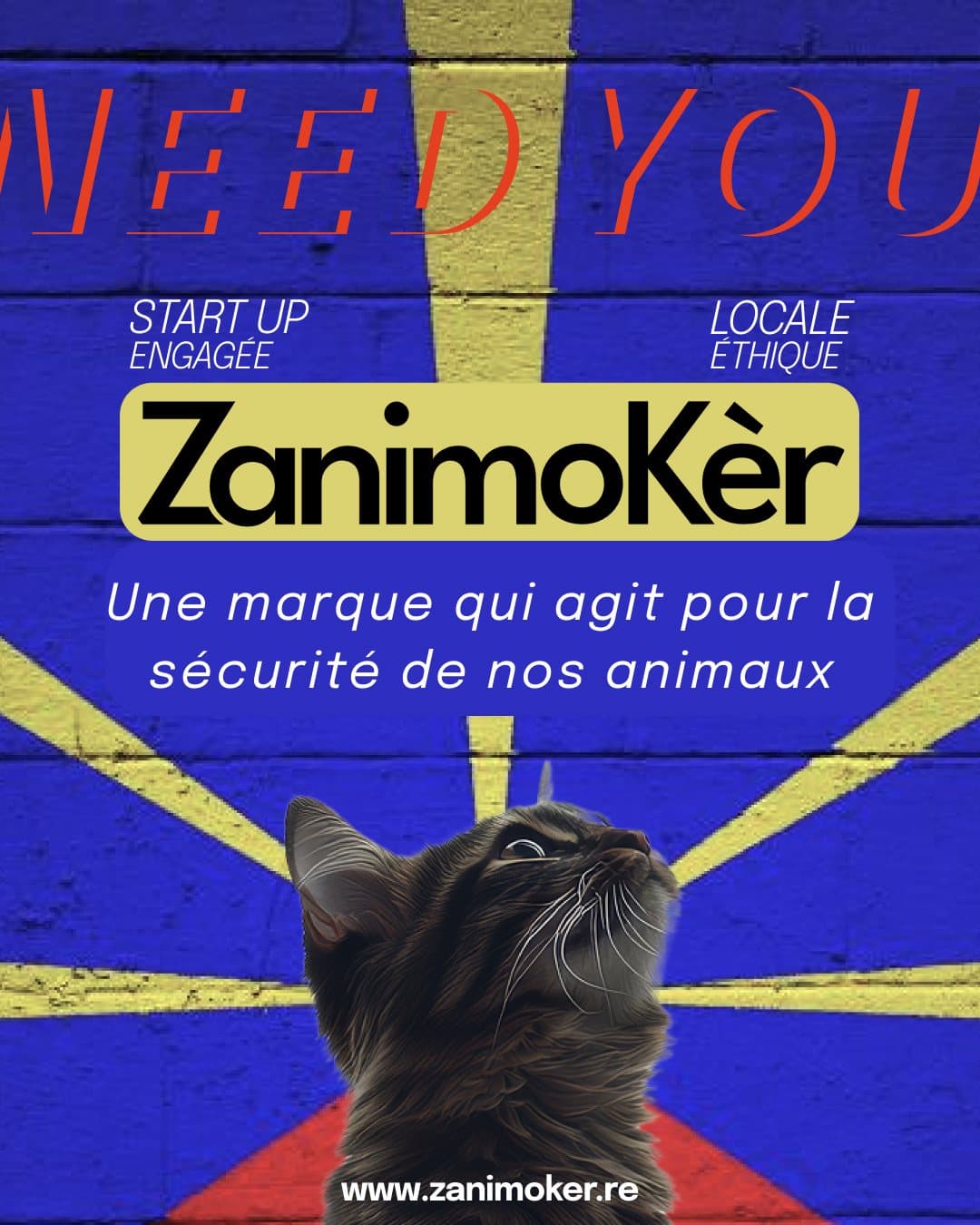 Animal perdu à La Réunion - paysage réunionnais