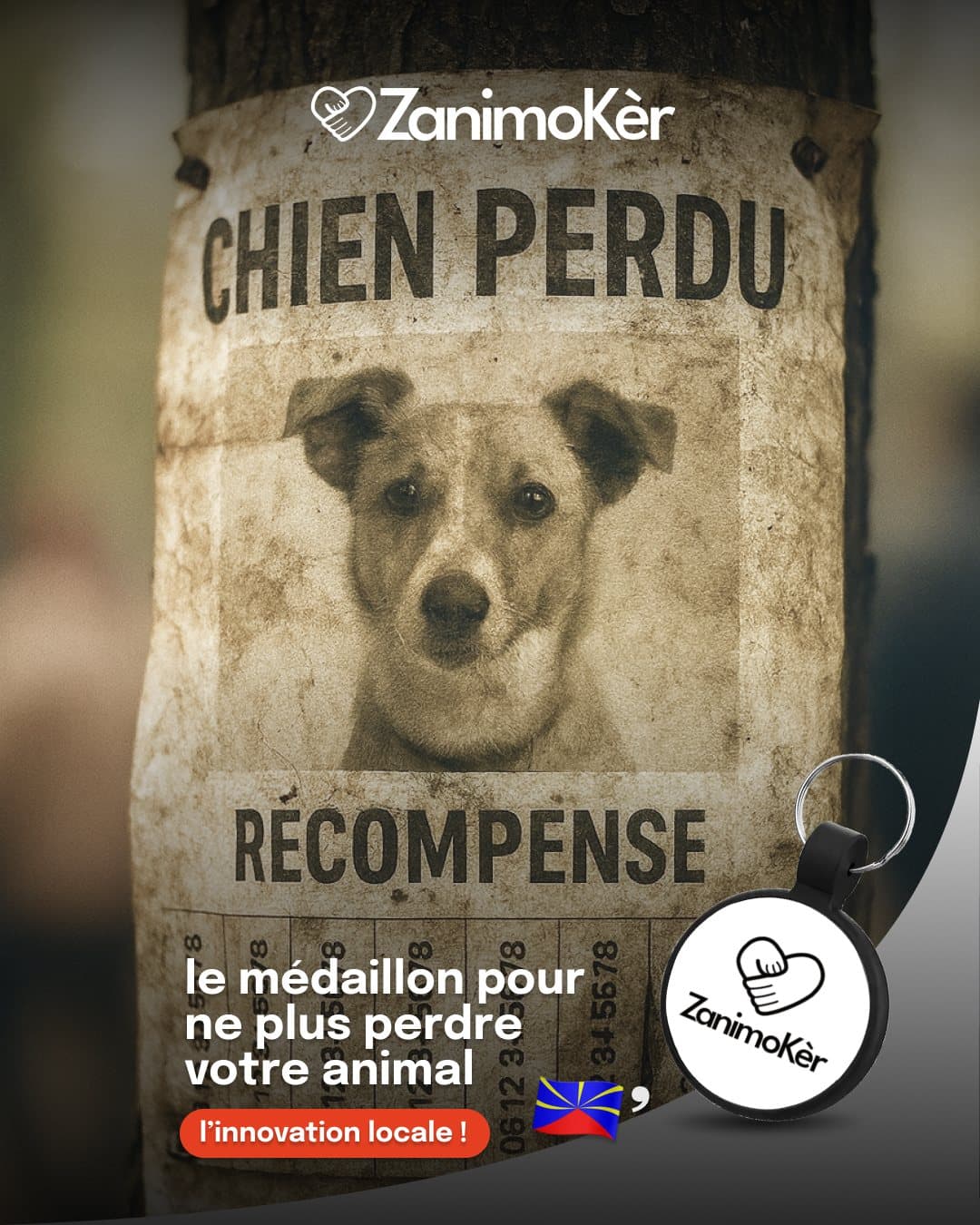 Propriétaire cherchant son chien perdu